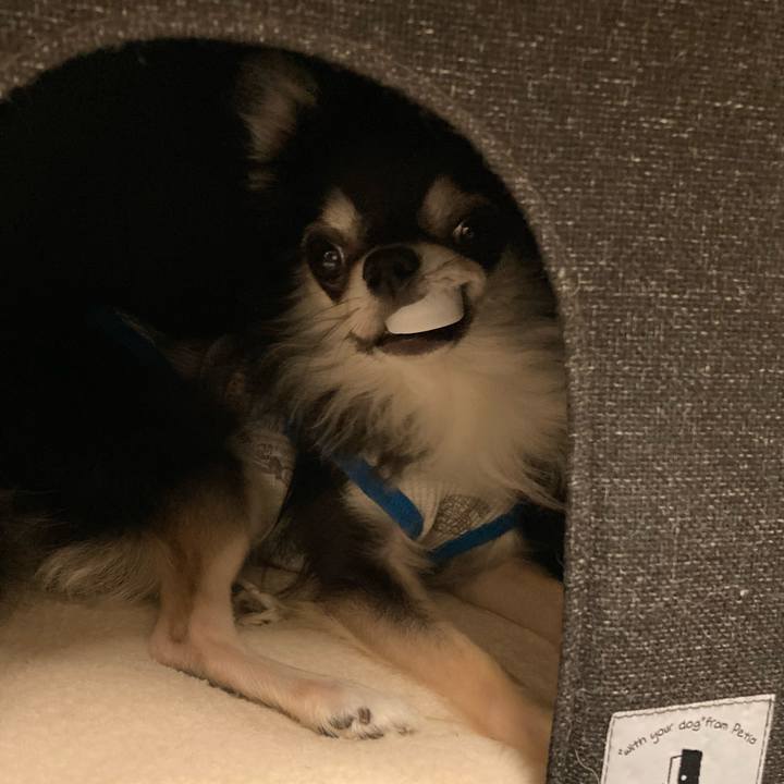 622aff96 e93c 4fde 8af5 d6517f2597c0 1655559155361