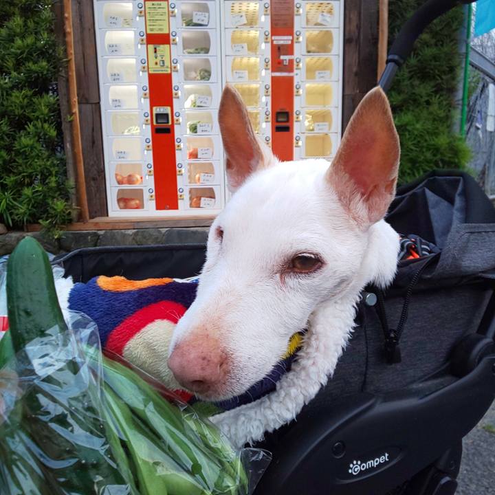 622b1706 d517 43e9 beba 8b0d8d257520 1590838769986