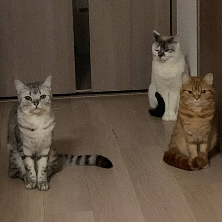 622b18f0 1719 473d 9947 8a90bff012da 1555665737661