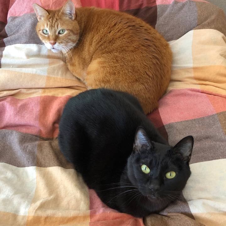 622b8a5d 7530 4d94 8b7b 12df9ab7c0d0 1711251150550