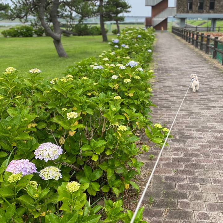 622b9355 0e25 4f95 841e ffca4860296b 1591440791247