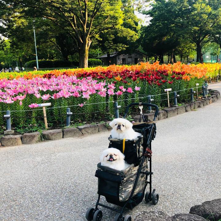 622bde86 0783 434f a161 0d55235efefd 1623109805484