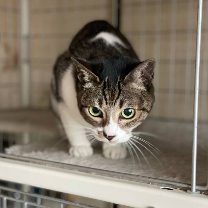 622be851 831c 4ea7 86fa 633090097854 1609984447844