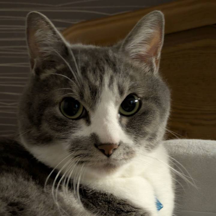 622bea42 d62a 48d0 8a4d 3f639132032c 1751413967151