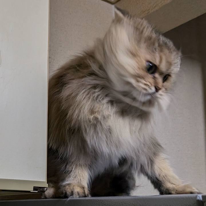 622bf98f 1e1d 46e4 9a51 36ebd8e139b3 1731938265882