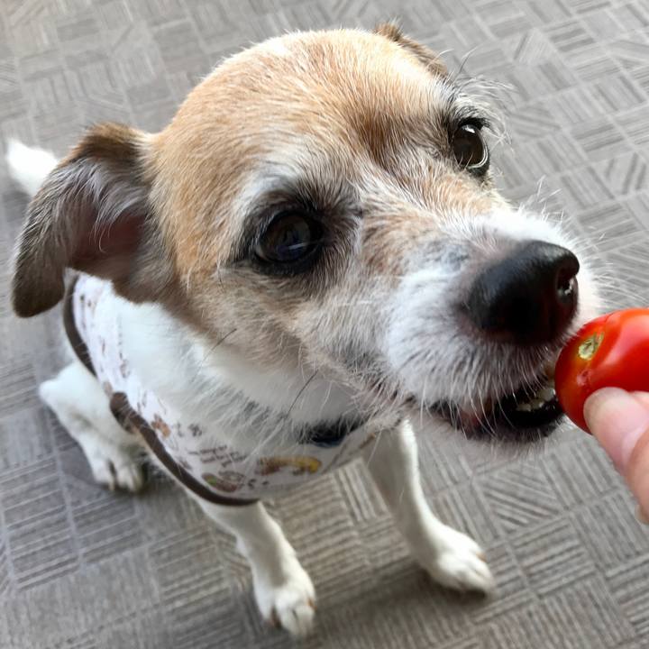 622c13d4 0b53 441e b488 55453cb4fcf2 1659483320025