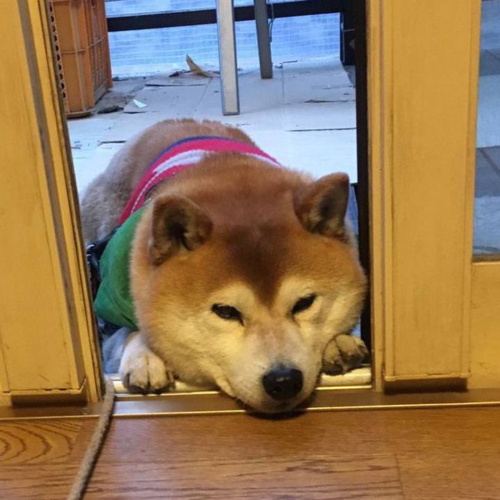 622c4851 88c2 405e 8ff7 8a5ab316e6e3 1553590618197