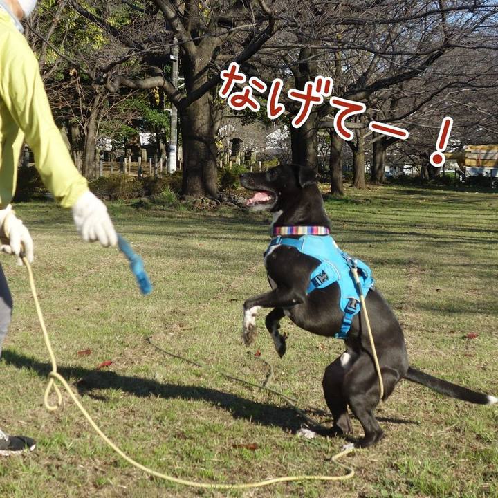 622c8bb4 dfde 445f bf95 40ffc286e289 1636768358708