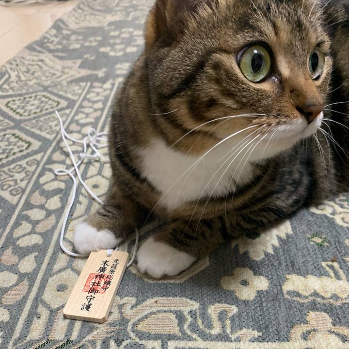 622cb010 2a0a 4c77 9f17 44eda897e6ae 1621669790238