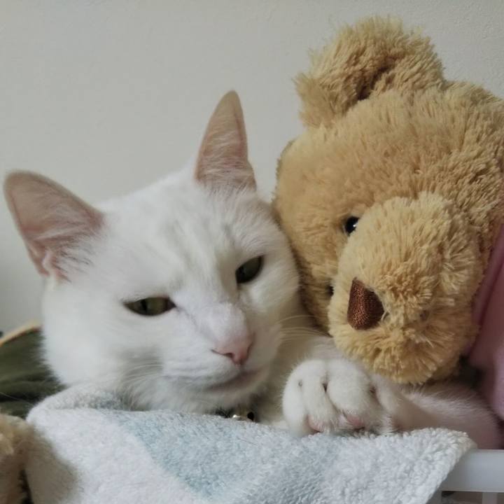 622cba3d ece7 40ae a93b 70dba881de65 1647137511340