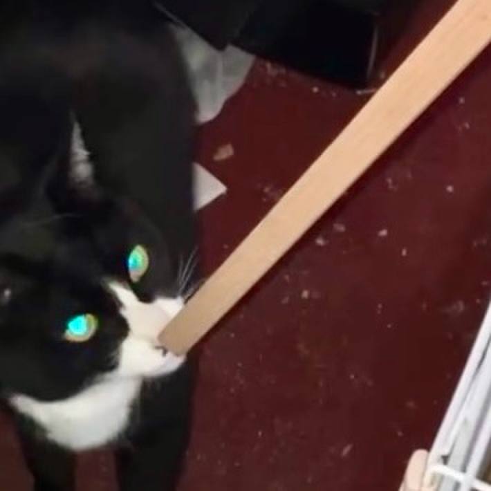 622ccfad 83d1 49e1 8c9b 445877238d83 1742010720744