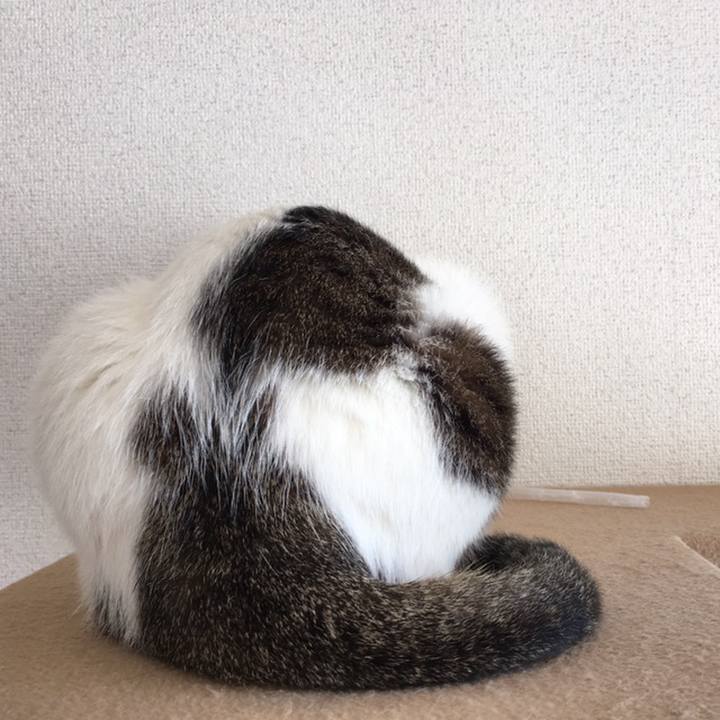 622d2282 0b3a 4905 8a84 562acd5932a7 1558607328055