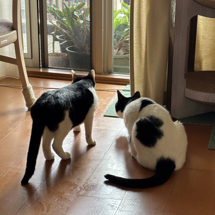 622d5543 3bc3 471e b42f fce4103159b1 1759153465887