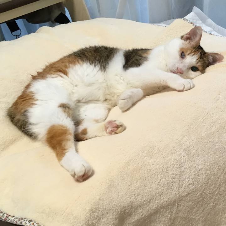 622d7543 5d7e 4533 8a1a bf90dcc5b7eb 1508301760240