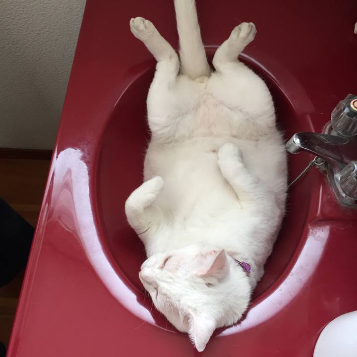 622d915e 5095 4339 9f61 459aa6b60fb7 1565486748969