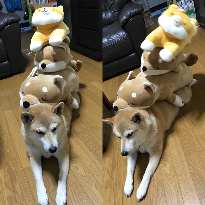 622d95a0 b00b 4983 8ac0 59f242604fbe 1533707659920