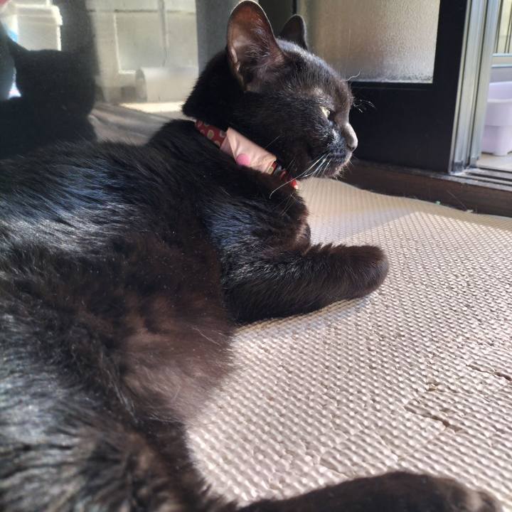 622d975b 62b1 4381 87c8 1d5fcb866b62 1653259225225