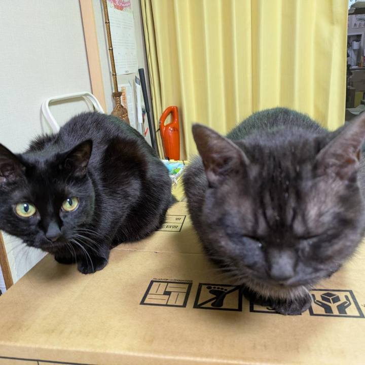 622d9a6e 4764 43a7 9ad5 e0d389d3686a 1766613163606