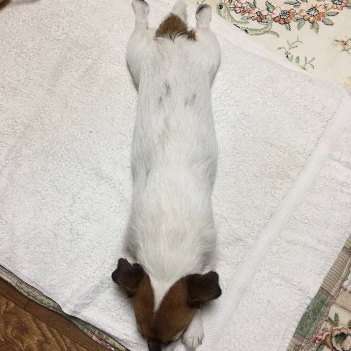 622de0d2 ec1d 4fff 8c93 b775f28ca1da 1533551784628