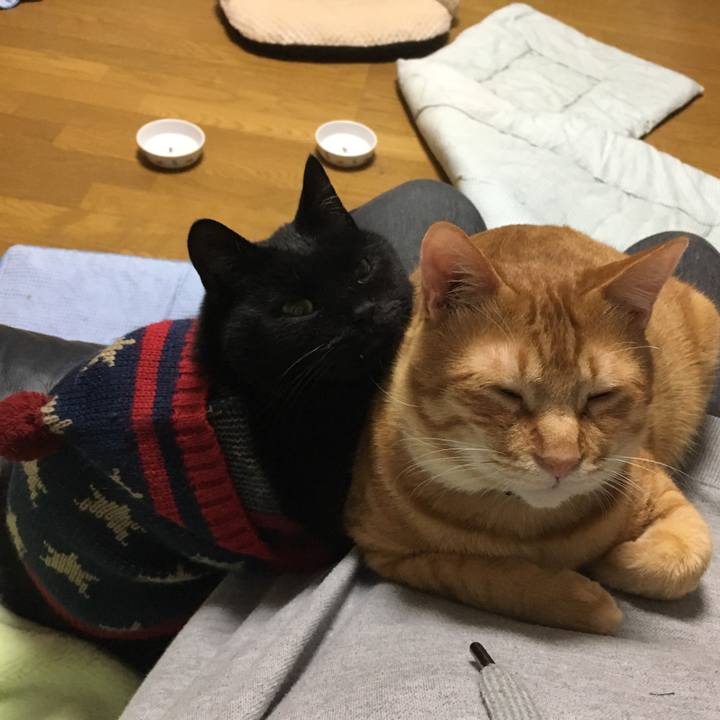 622dea52 609b 44b7 918d 679a7ad5abfc 1540732339463