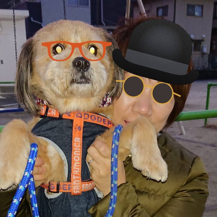 622dec97 d017 49ad bedf c0ea564202ad 1546687619299