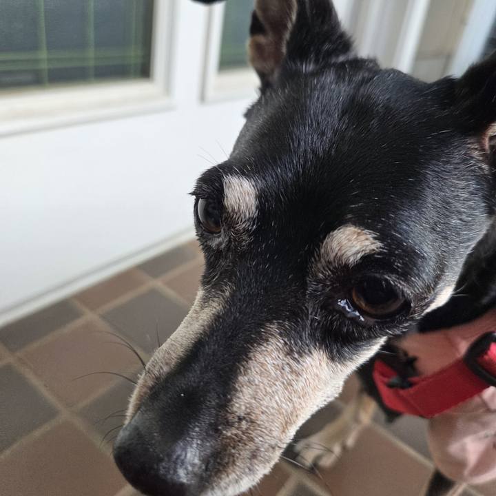 622def9d 6bf3 4a22 af21 a0b3484acaa5 1758144322904