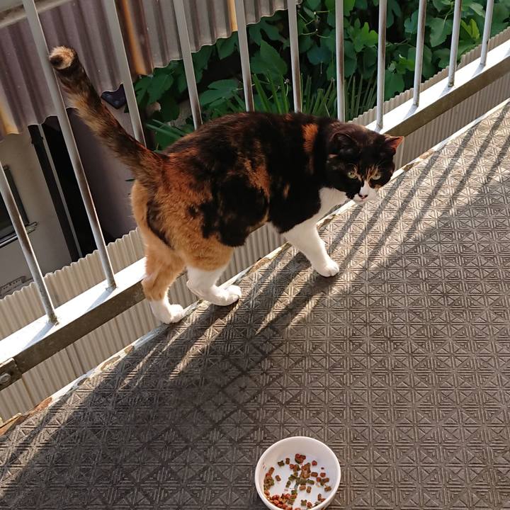 622e0bbf 966a 42a2 8f20 8b93db22050d 1653278090615