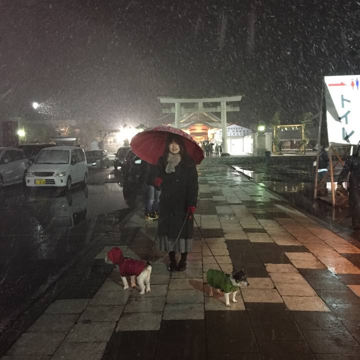 622e1cd9 e1e1 4f0a a00c 0b7d3b1e2412 1514896948353