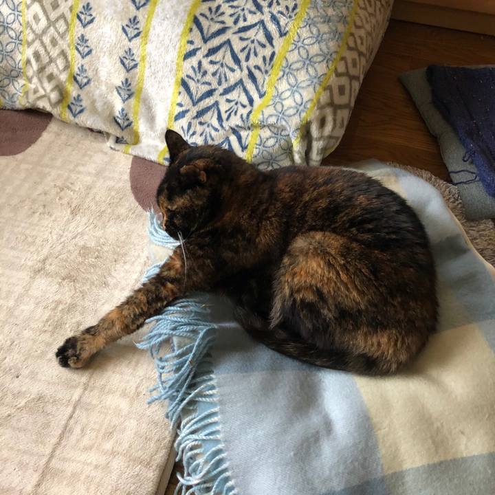 622e21f8 19b7 4d85 b2d6 114ba9718665 1579833128864