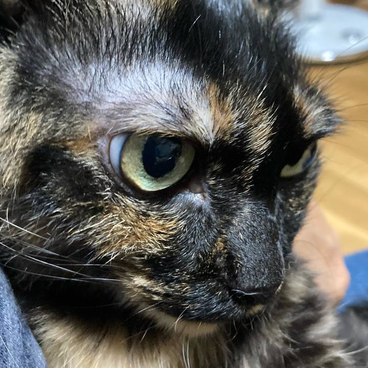 622e43f5 c7b1 410a 923b 5cbf45a4d474 1756961740285