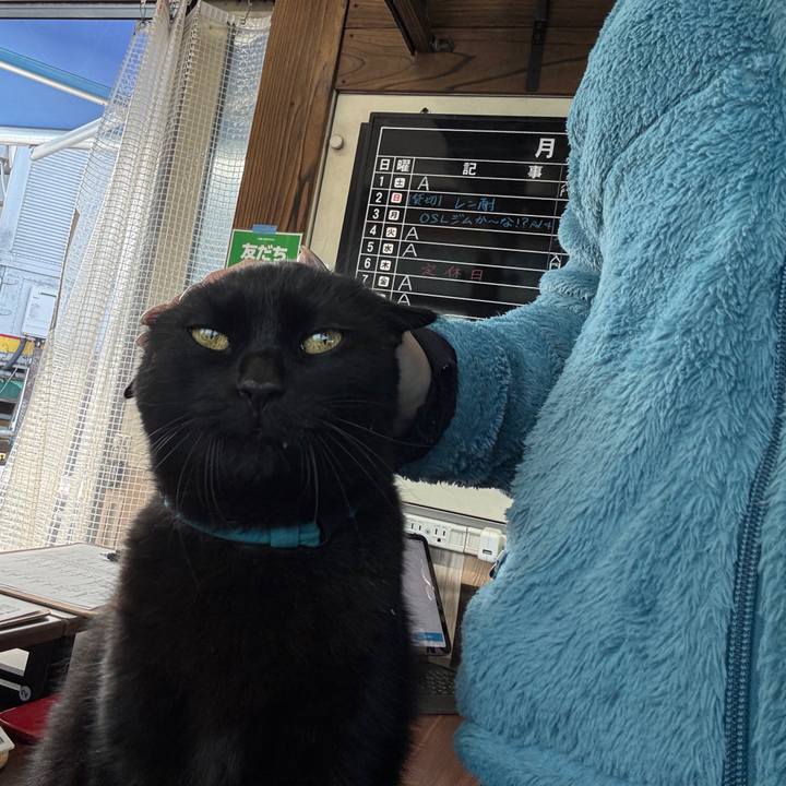 622e8bec f146 4847 8cbc 7923410afae8 1761710086380