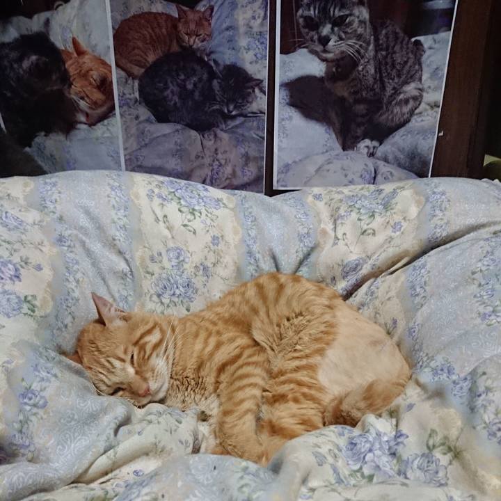 622e8d86 df38 4c9f ab97 37460abfa509 1655817414955