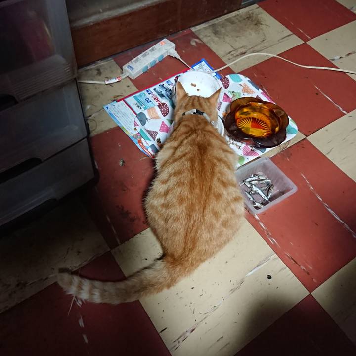 622eb3bc 471a 4d78 9e4f 090e81451838 1593545459895