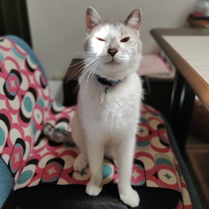 622eb962 62cc 4ca8 9c0f d78892a5836f 1659516684993