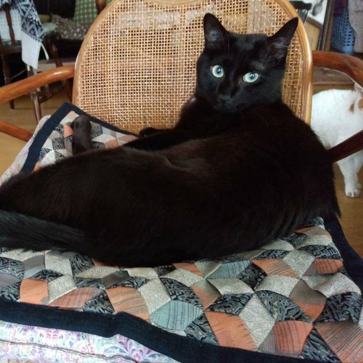 622f5b6c dfb2 411e bd2b 6fc31fd2c13e 1601697203371