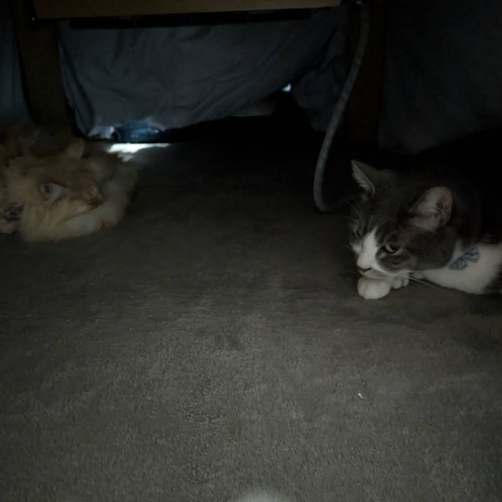 622faab9 22ff 4489 81c5 333dfbadf65b 1770773600805