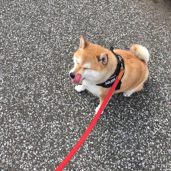 622fc06b de78 42f7 be01 7817a94fc9e8 1591399692426