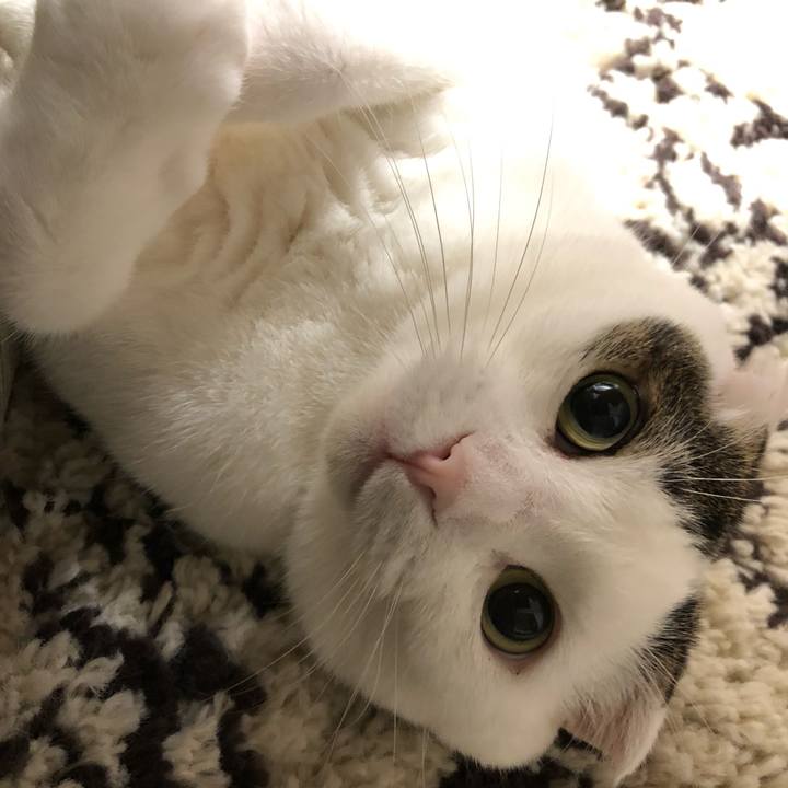 622fcb64 973d 4468 b254 f97227f19dd6 1565273149835