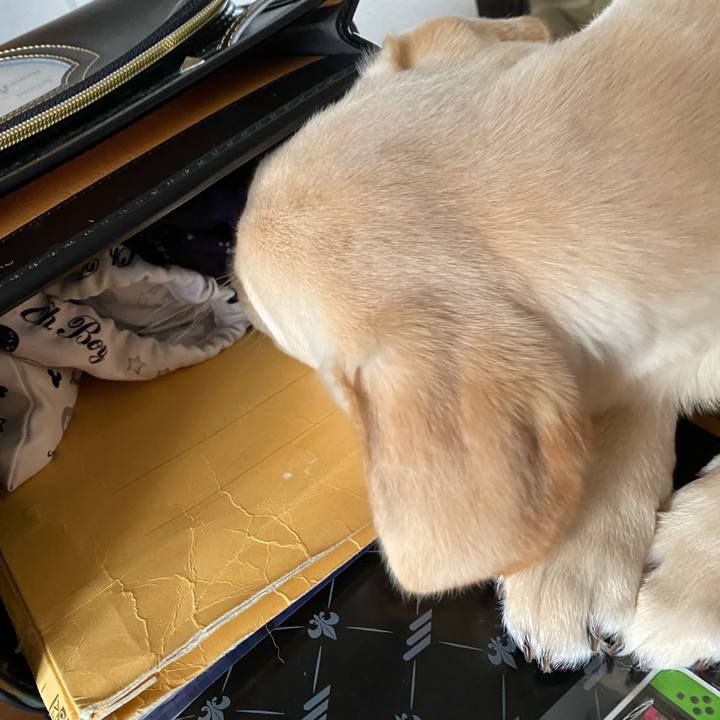 622fea24 48d2 4a96 b9bd 4bd41628db41 1613605437704