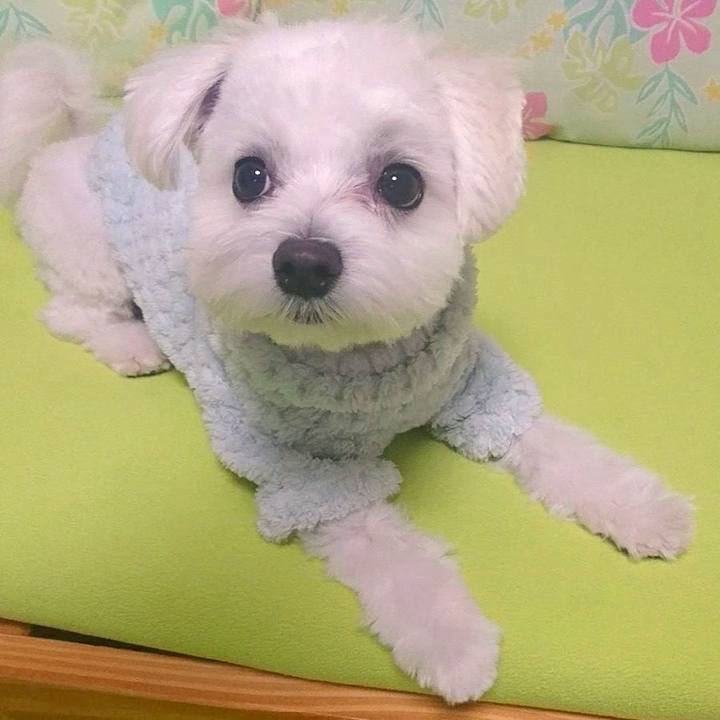 62302ee5 4d67 4271 bbb9 8b4e5d7c79fd 1517217293593