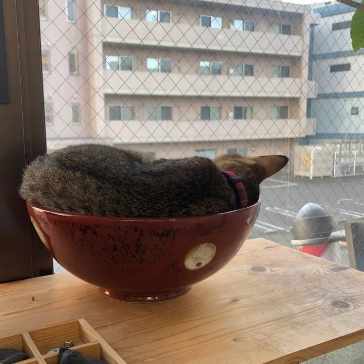 623032de bfbb 4b2b 9429 d5c13a266629 1664451135658