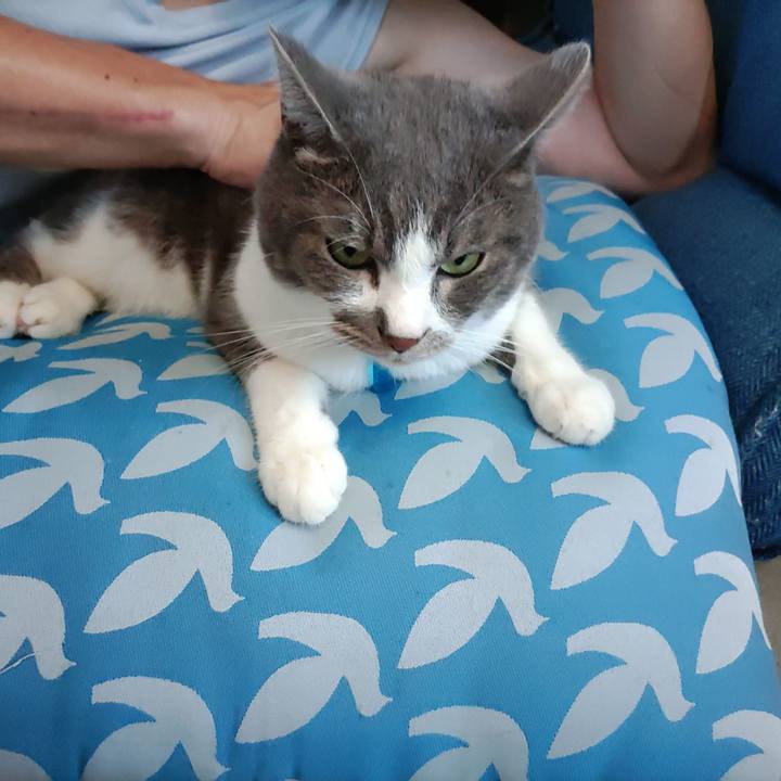 62303b40 5d14 48dd 885b 38f707d7d189 1721540623315