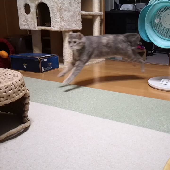 623049ae 8ba4 41df b103 e04495f36d06 1588686989483