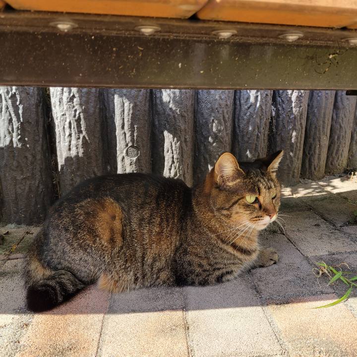 62305796 0c2c 4e09 844c 3ecc31e5358f 1697864133835