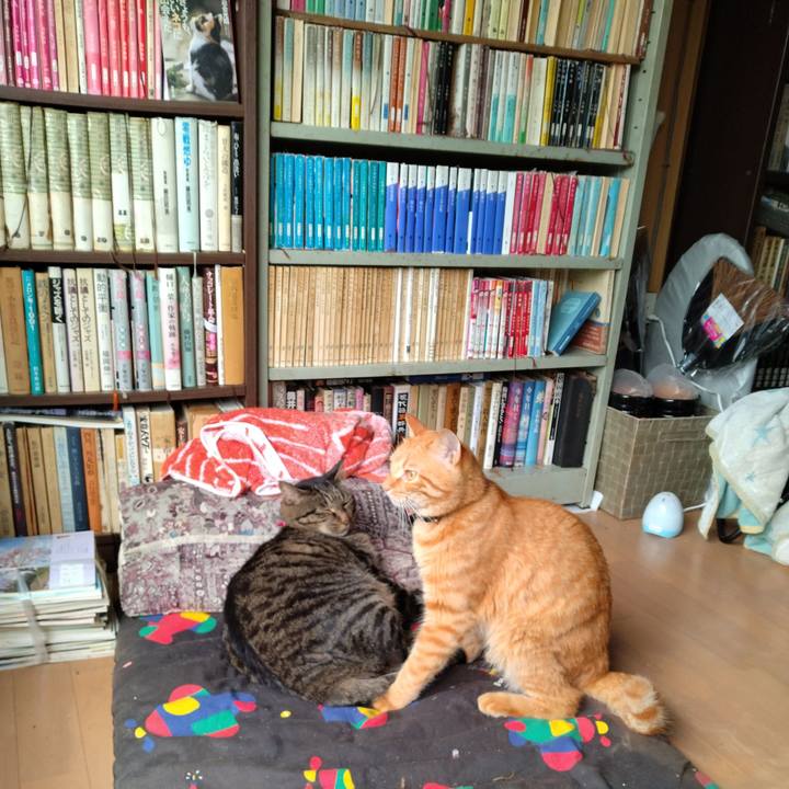 6230749f 1376 4d9c b4a1 479748d4b90e 1664239720081