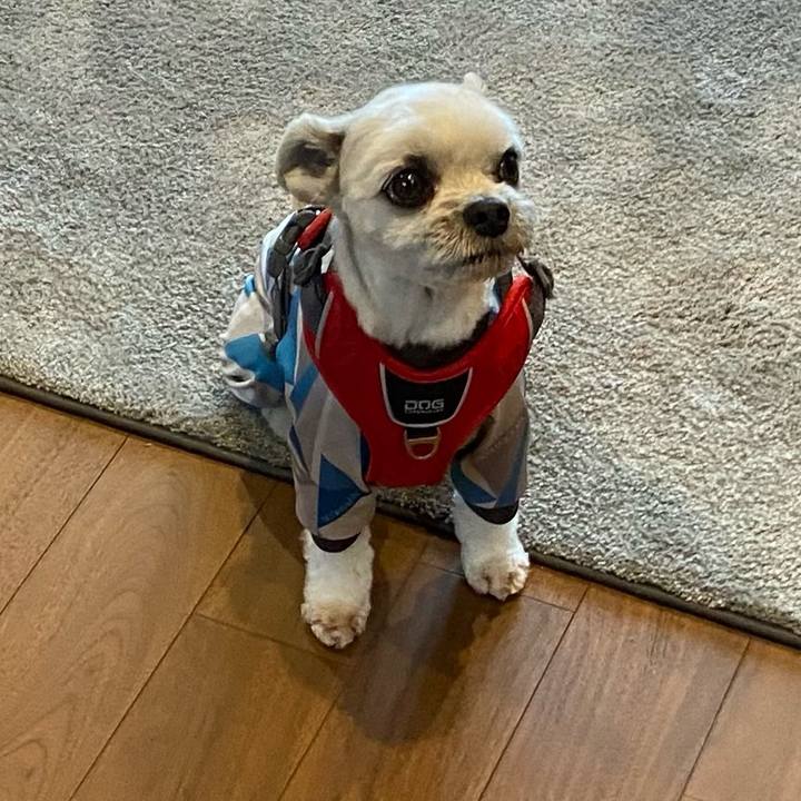 62308516 6339 4174 94eb 851134461ed6 1625373989670