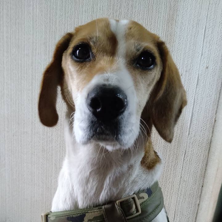 6230a257 b51f 4cab a315 cdc45befbde7 1671263692666