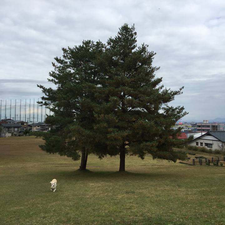 6230f471 80cd 479d 89e8 bbaf380f5161 1542683706725