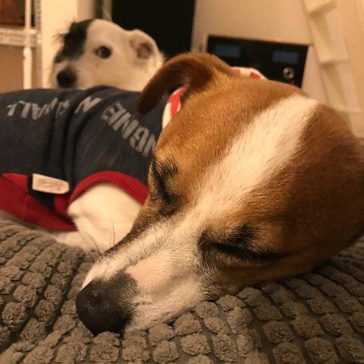 6231028e 560a 49b6 b688 2d7862a810f4 1521900420870