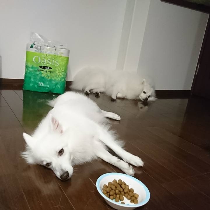 623106fa f65e 43b0 9fcf b63540d41f7e 1569334821040